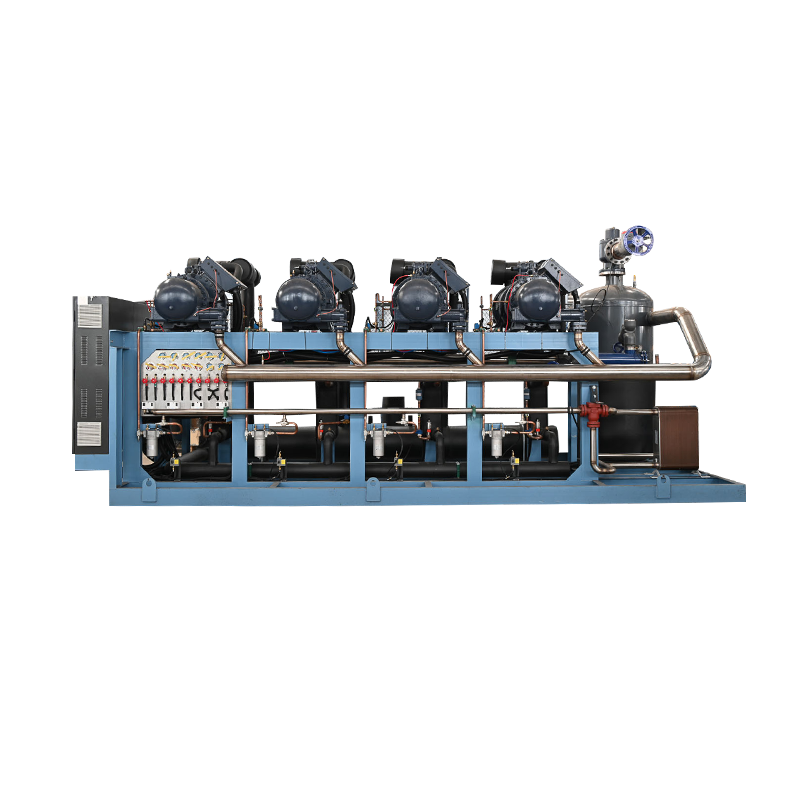 Bizer alacsony hőmérsékletű dugattyús vízkondenzációs párhuzamos egység